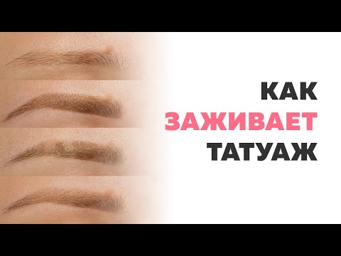 Видео: Как заживает перманентный макияж. Заживление татуажа бровей по дням