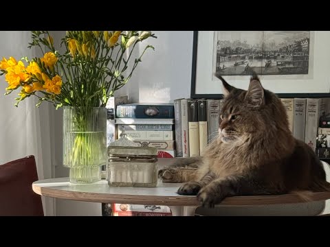 Видео: Студия Ольги Кондратовой в прямом эфире!