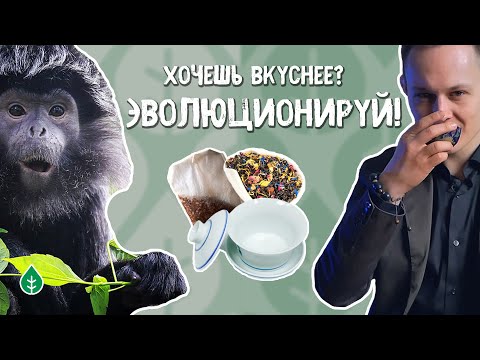 Видео: Путь в чае от Новичка до Мастера. Эволюция чайного человека | Art of Tea, китайский чай