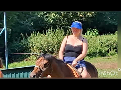 Видео: Верхом  на лошади