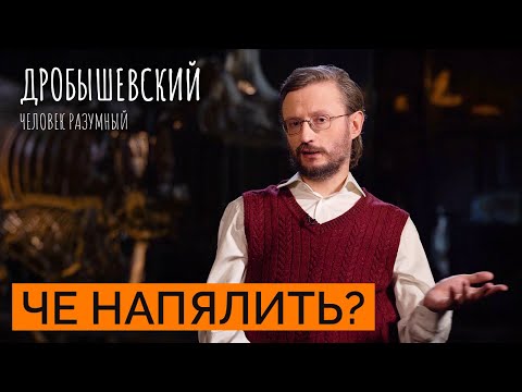 Видео: Как появилась одежда у предков // Дробышевский. Человек разумный