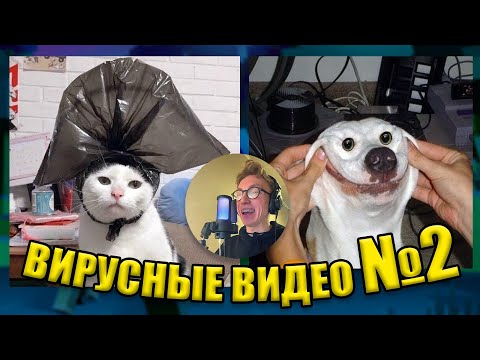 Видео: ВИРУСНЫЕ ВИДЕО / Подборка смешные моменты №2