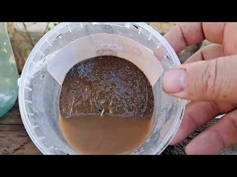 Видео: Алтынға тексеру