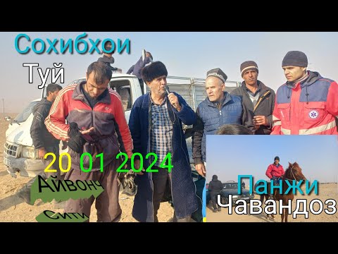Видео: Улок Шахритус Айвонч  20 01 2024 зур улок булди