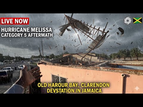 Видео: Бухта Олд-Харбор после урагана Мелисса 🌊 | Последствия урагана на южном побережье Ямайки