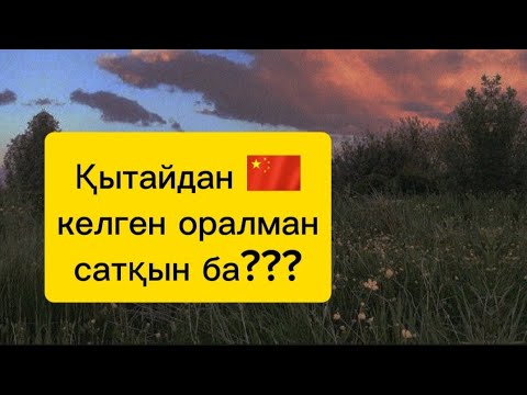 Видео: Оралмандар сатқындар ма? Оралман қыз дұрыс айтады! #оралман#қандас#қазақ