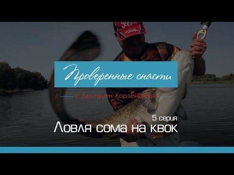 Видео: Ловля сома на квок  [Проверенные Снасти №5]
