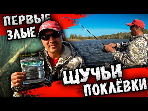 Видео: ПЕРВЫЕ, ЗЛЫЕ ЩУЧЬИ ПОКЛЁВКИ / ВЫТАЩИЛ СЕТЬ / РЫБАЛКА В НОВОСИБИРСКЕ.