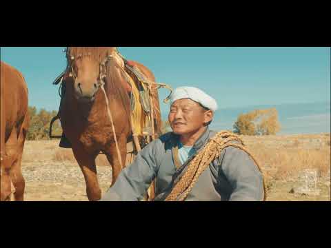 Видео: Хөөрхөн Зээрд Янсанцоо Эрдэнэбилэг