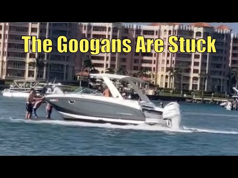 Видео: Они застряли!! | Гуганы недели