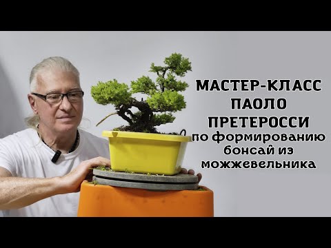 Видео: Мастер класс Паоло на фестивале Орхидиум (можжевельник лежачий Нана)