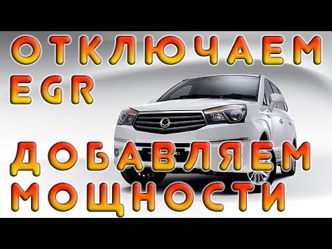 Видео: SsangYong Stavic 2.0 дизель: отключаем ЕГР и добавляем +37 л.с.