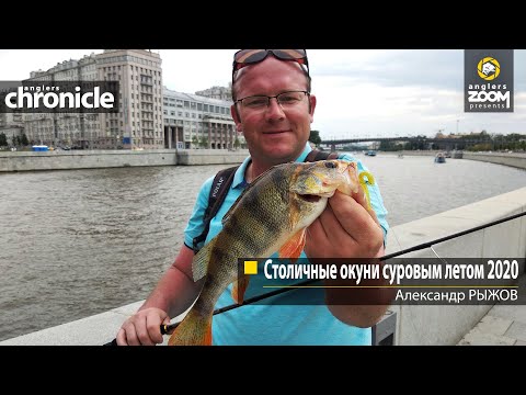 Видео: Столичные окуни суровым летом 2020. Александр Рыжов. Anglers Chronicle