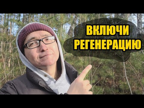 Видео: Два режима метаболизма: почему ты всё время уставший