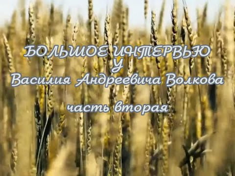 Видео: Большое интервью В.А. Волковым. часть 2