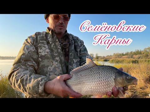 Видео: Карпы Семеновские 🔥😉Рыбы много, но травы больше 😜🎣