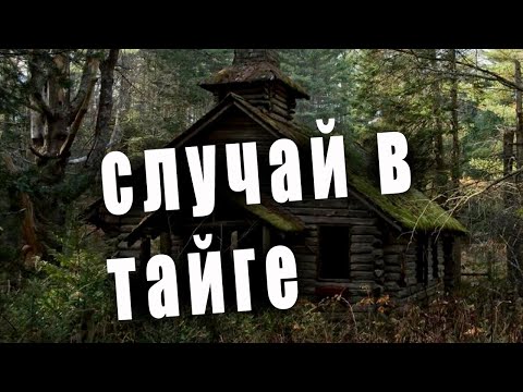 Видео: 💥ЧЕЛОВЕЧЬЕ СЕРДЦЕ ГЛУХОГО ЛЕСА