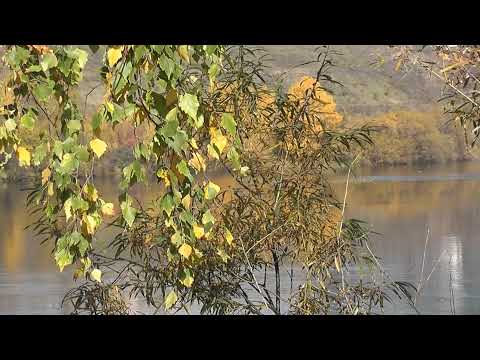 Видео: Гомер көзем.Фәрид Мифтаханов җырлый.