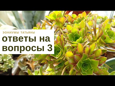Видео: Ответы на вопросы - 3