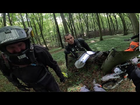 Видео: Слизькі дерева і моцні яри