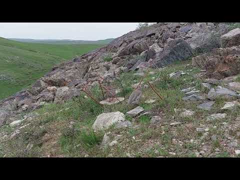 Видео: шикори каратов нав