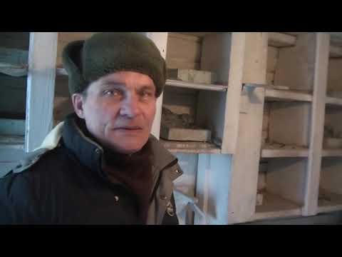 Видео: Соревнования высоколетных голубей.(Свердловские голуби )  г. Зима. Ирк. Обл. 10.03.2024
