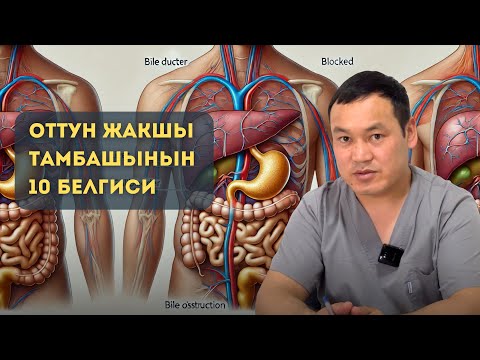 Видео: Оттун жакшы тамбашынын 10 белгиси