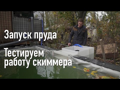Видео: Запустили пруд, изготовили скиммер для пруда