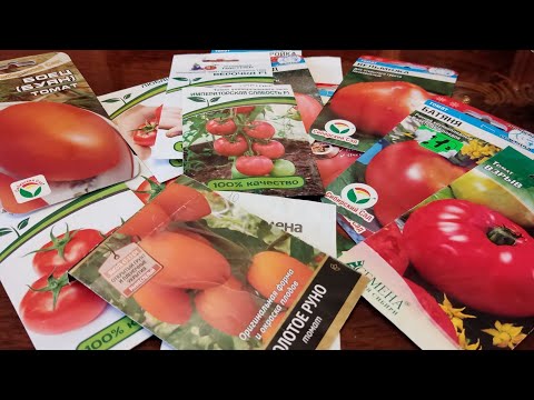 Видео: Эти Надёжные Томаты Обязательно посажу! Вкусные Урожайные Лежкие!