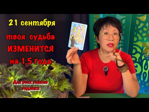 Видео: Солнечное затмение вскроет всех: что ждёт КАЖДЫЙ знак — денежный ливень или тотальный разнос?