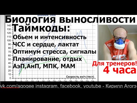 Видео: Тренировка выносливости по А. Вертышев