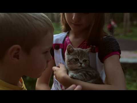 Видео: "Живая шляпа"  детский игровой  фильм по мотивам рассказа Николая Носова