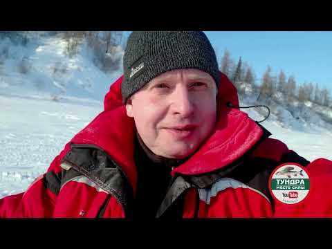 Видео: За рыбалку! :) Хариус. Норильск.