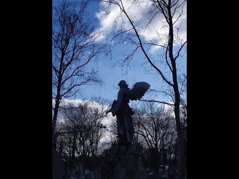 Видео: Като ангели с едно крило - отец Владимир Дойчев за Събора на свети арх. Михаил, 08.11.2025 г.