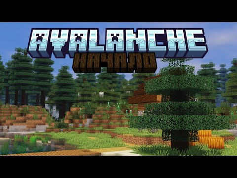 Видео: Начало на Avalanche