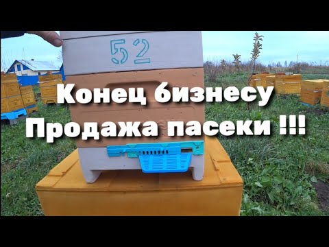 Видео: Конец бизнесу. Продажа пасеки !!!