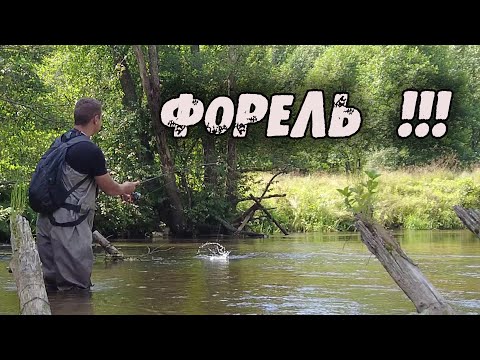 Видео: Когда ВОБЛЕР лучше! ХАРИУС и ФОРЕЛЬ на реке.