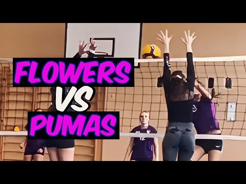 Видео: Volleyball.Tournament. Women.5.10.25.Flowers/Пумы 2:0 (1 игра)