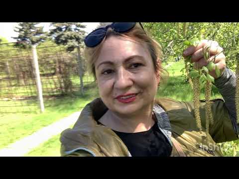 Видео: КРИВОЙ  РОГ 🇺🇦 БОТАНИЧЕСКИЙ  САД  ТЕРНОВСКОЙ  РАЙОН