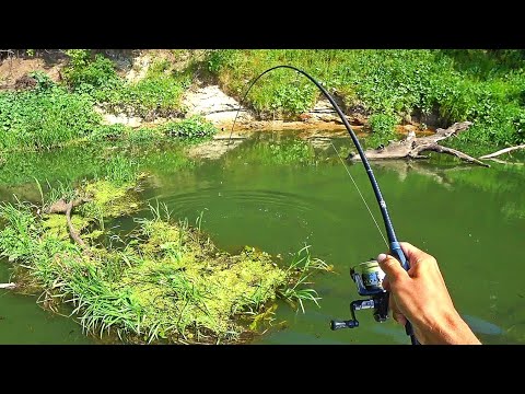 Видео: ВОТ ЭТО Я ПОНИМАЮ РЫБАЛКА! ДИКИЙ ЖОР РЫБЫ В ЖАРУ! Ловля на реке 2024.