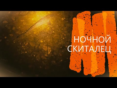 Видео: НОЧНАЯ ЖИЗНЬ НАЛИМЧИКОВ. РЕКА-УСА