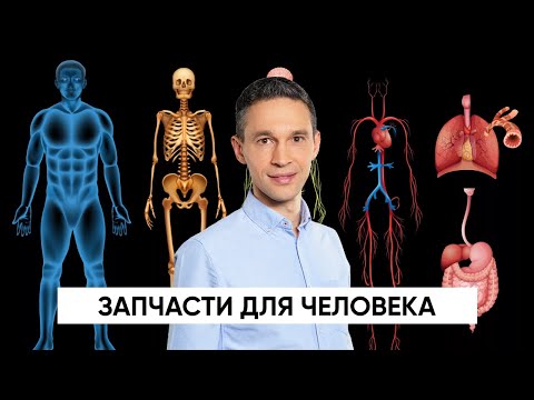 Видео: ЗАПЧАСТИ ДЛЯ ЧЕЛОВЕКА | НАУЧНОЕ РАССЛЕДОВАНИЕ