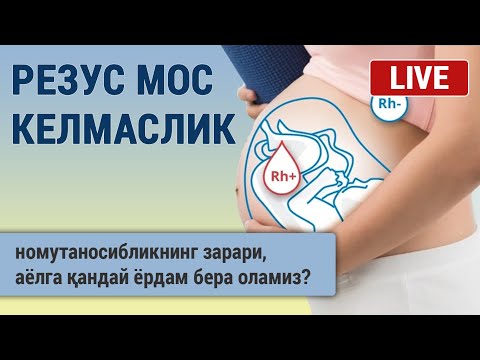 Видео: Резус номутаносиблик. Номутаносибликнинг зарари. Аёлга қандай ёрдам бера оламиз?