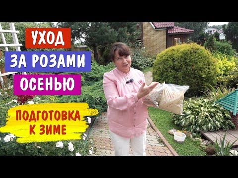 Видео: СЕНТЯБРЬ - не забудьте про РОЗЫ. Уже готовим к зиме, не упустите время!