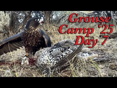 Видео: Лагерь «Граус» 2025, день 7 (12 октября 2025 г.)