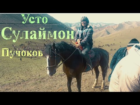 Видео: Усто Сулаймон човандоз н.Темурмалик д.Зангибобо бо аспи хочи Авдуллох асп бо номи Атмерал табрик