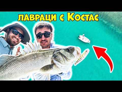 Видео: Попаднахме на СТОТИЦИ ЛАВРАЦИ с Костас Антониадис! Риболов на лаврак.