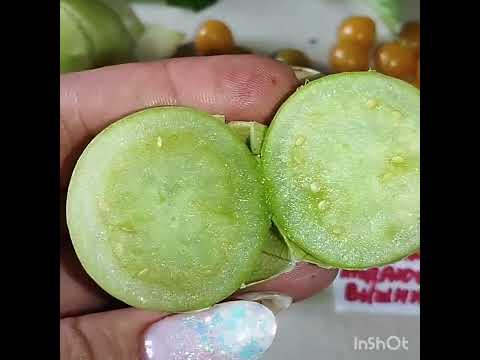 Видео: Физалис овощной и десертный . Часть 2. Королева Малиналько и антоциановый . Беларусь.