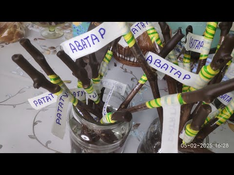 Видео: Зимняя прививка винограда, 2 способа советы начинающим