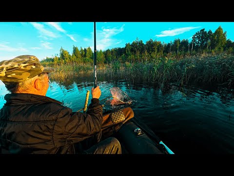Видео: Нереальні риби із очерету.